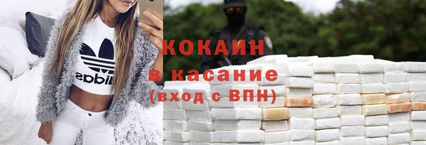 молекула духа Арсеньев