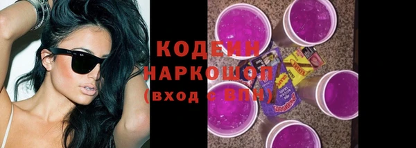 молекула духа Арсеньев