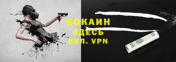молекула духа Арсеньев