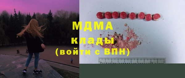 молекула духа Арсеньев