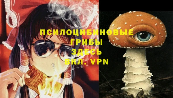 молекула духа Арсеньев