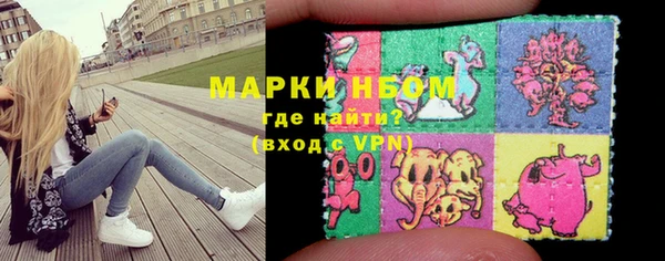 молекула духа Арсеньев