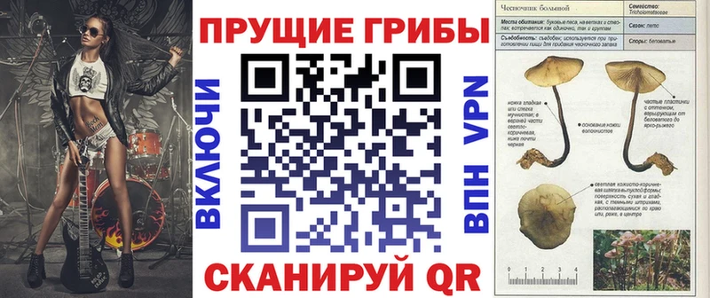 сколько стоит  Яровое  Псилоцибиновые грибы прущие грибы 